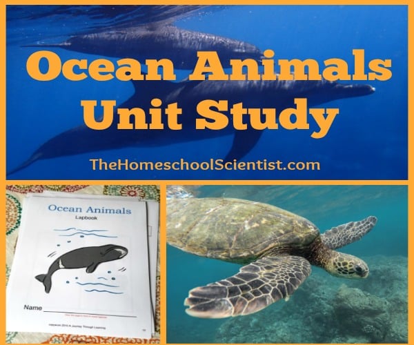 Ocean Animals Unit Study - The Homeschool Scientist