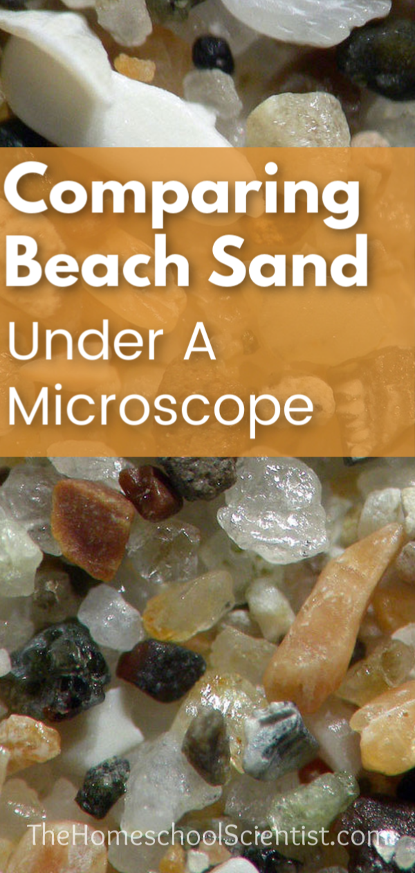 comparing beach sand under a microscope