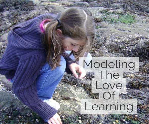 modeling the love of learning