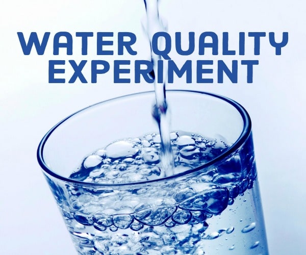 Classrooms and Science Fairs 4-Pack Water Testing Kits Perfect For Students 
