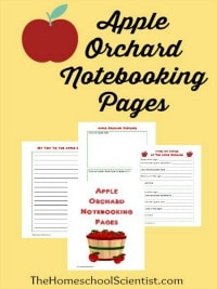 Apple orchard notebooking pages