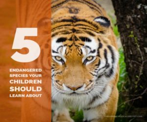 5 Endangered Species Your Children Should Learn About - The Homeschool ...