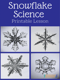 snowflake science printable lesson