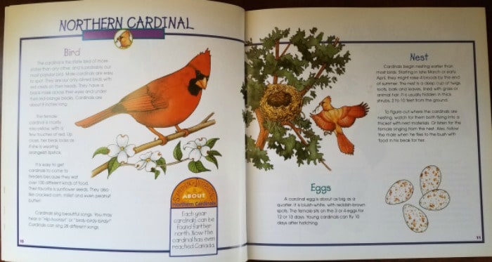 identifying birds, nests, and eggs book layout