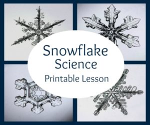 snowflake science printable feature