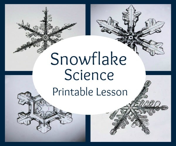 Snowflake Science Printable Lesson