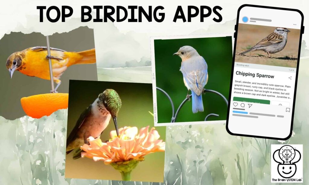 TOP BIRDING APPS BIG IMAGE 1