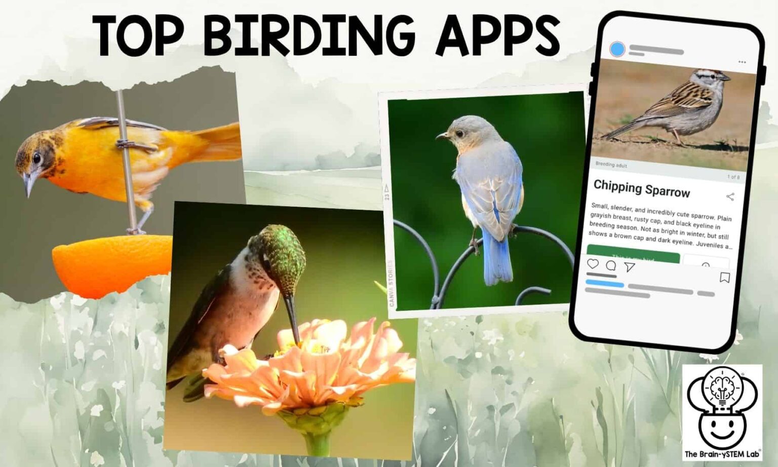 Top Bird Apps - The Homeschool Scientist