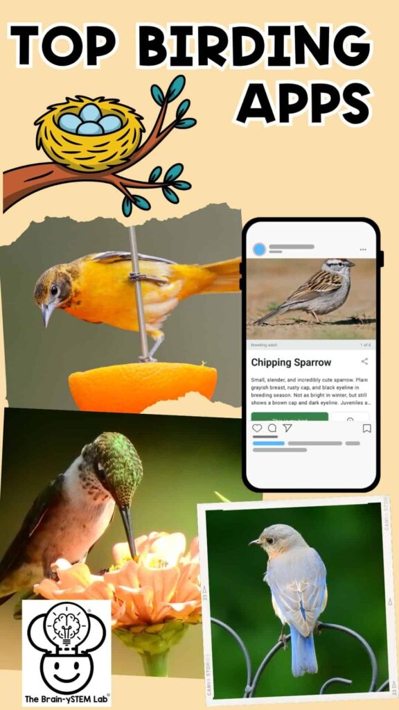 top birding apps