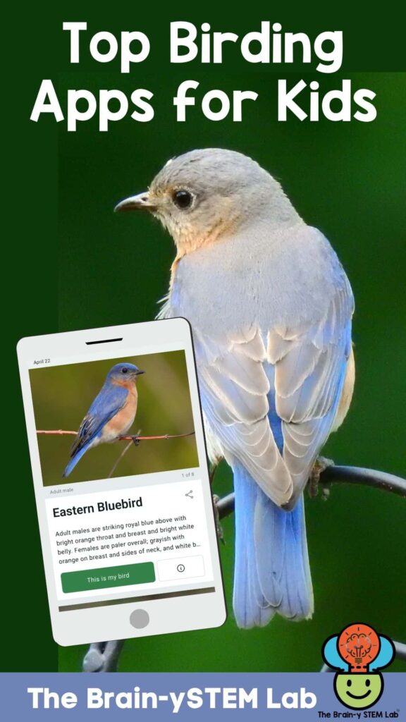 top birding apps