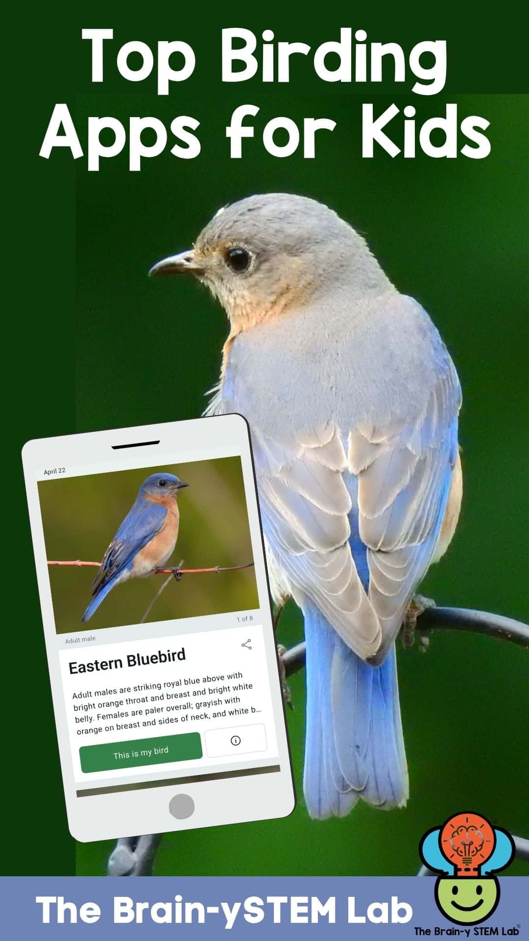 Top Bird Apps - The Homeschool Scientist
