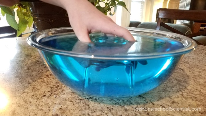 Simple Science Experiment: Gravity Defying Water - MetroFamily