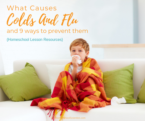 Causes And Prevention Of Colds And Flu - homeschool science lesson