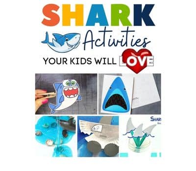 Shark Activities Your Kids Will Love!