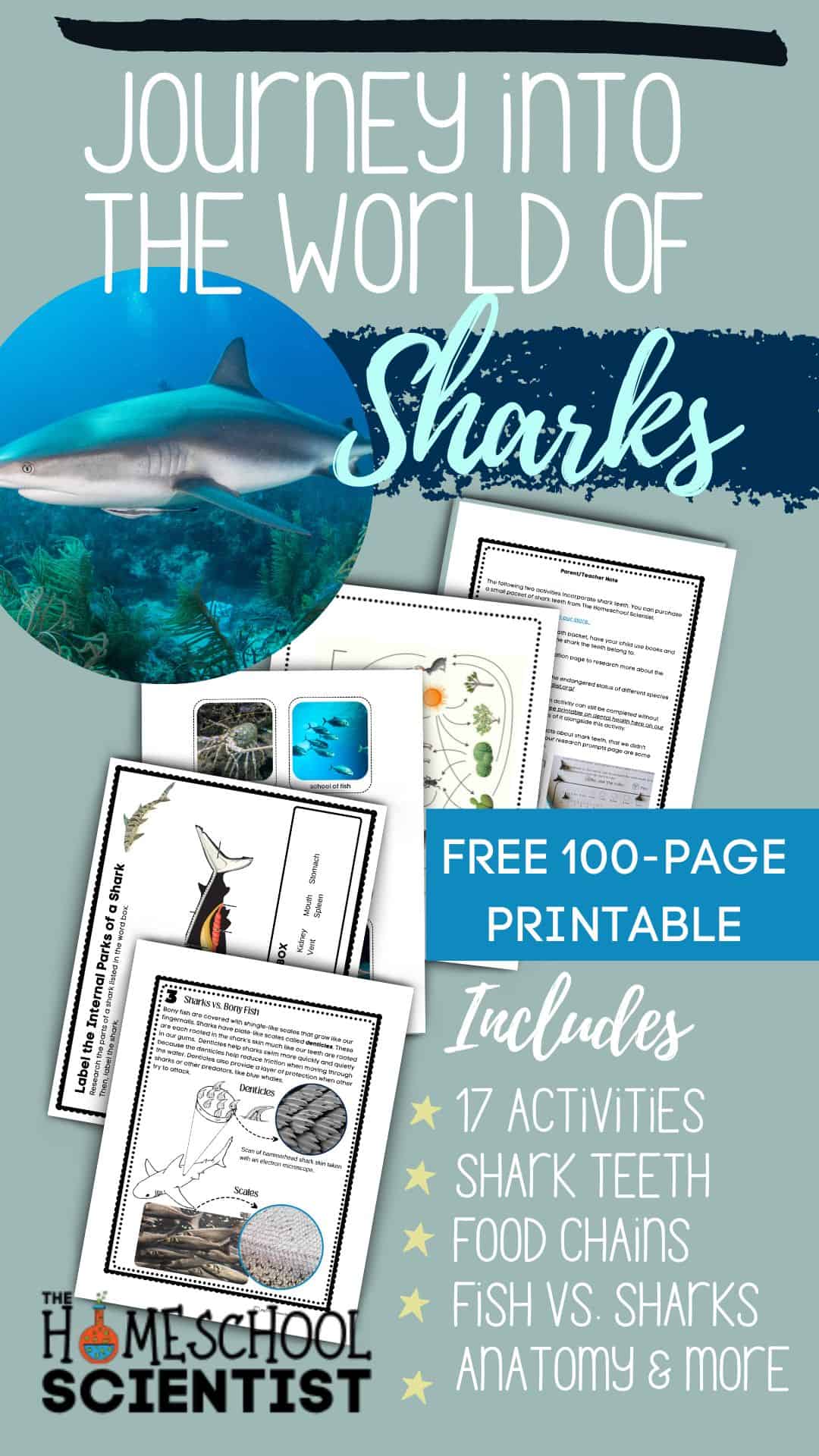 Shark Unit Study Links - The Homeschool Scientist
