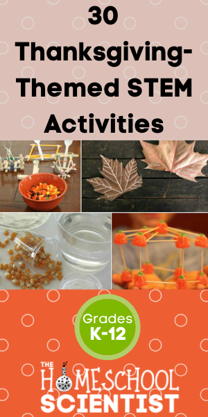 30 Fall and Thanksgiving STEM Activities