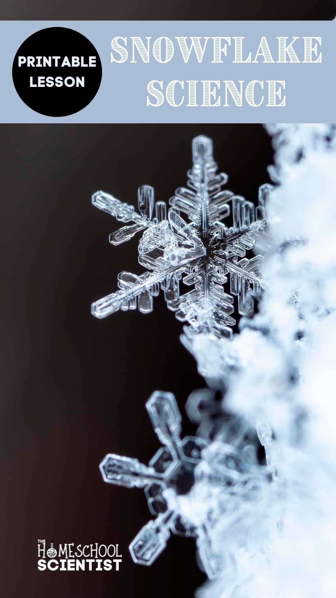 Snowflake Science Lesson for elementary through high school students. Includes a printable lesson PDF and links to other snow resources on our site...with more printables!