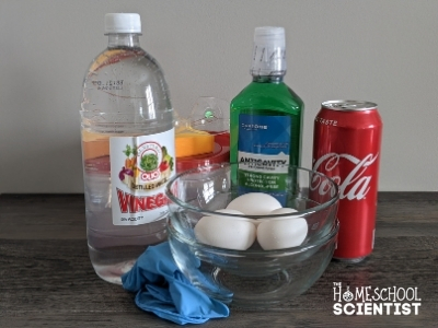 Egg Experiment with Vinegar Supplies