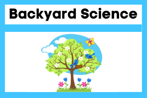 Backyard Science ebook 2nd Edition