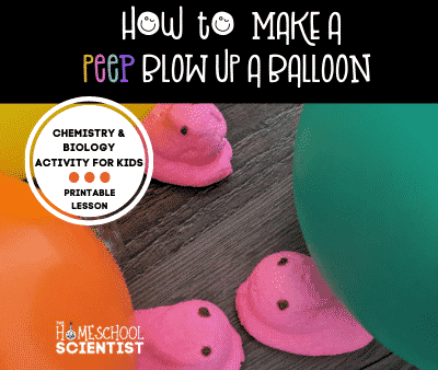 Peeps Science Experiment – How to Make a Peep Blow Up a Balloon