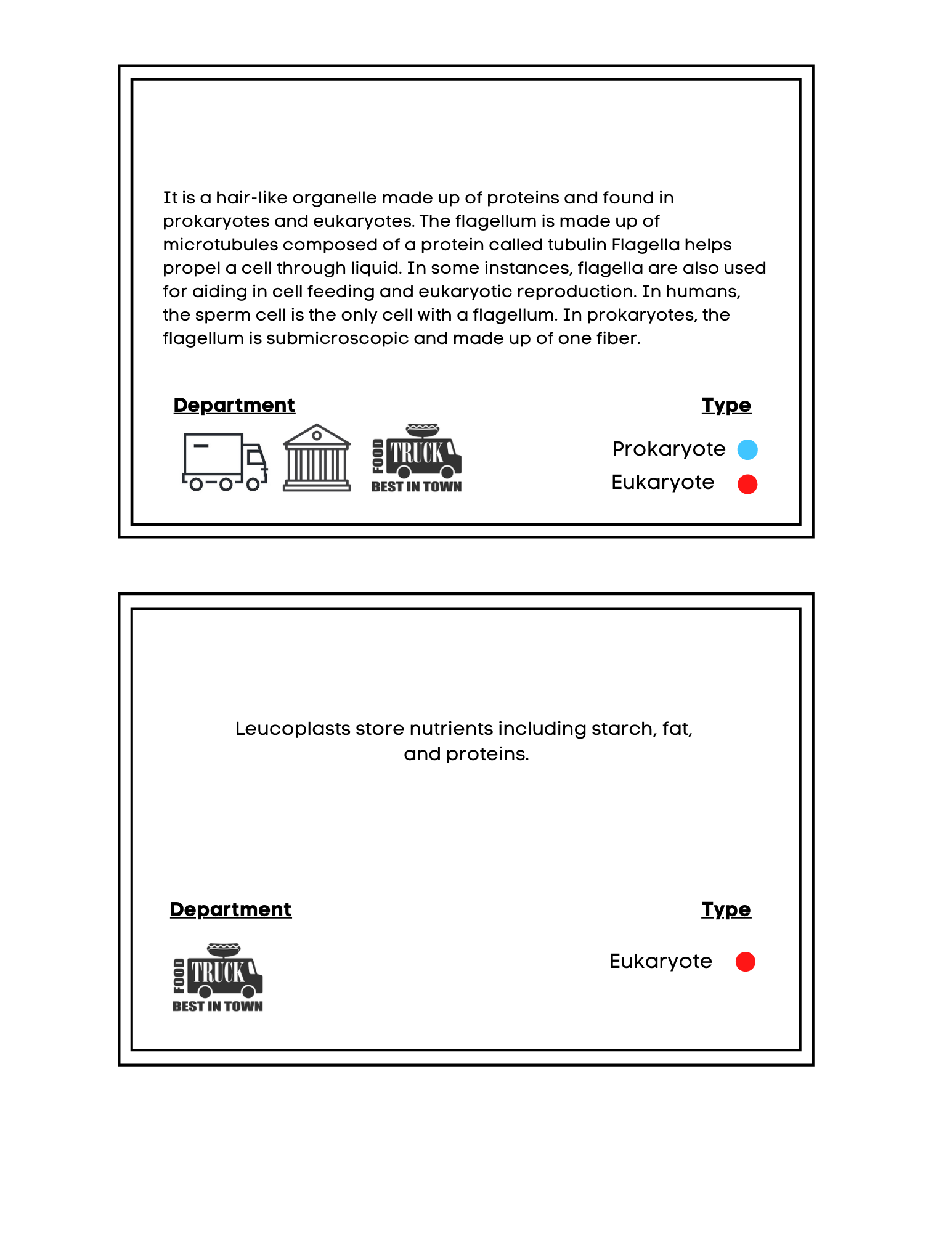 Creating a Cell Model with FREE Biology Flashcards and Labeling Worksheets -