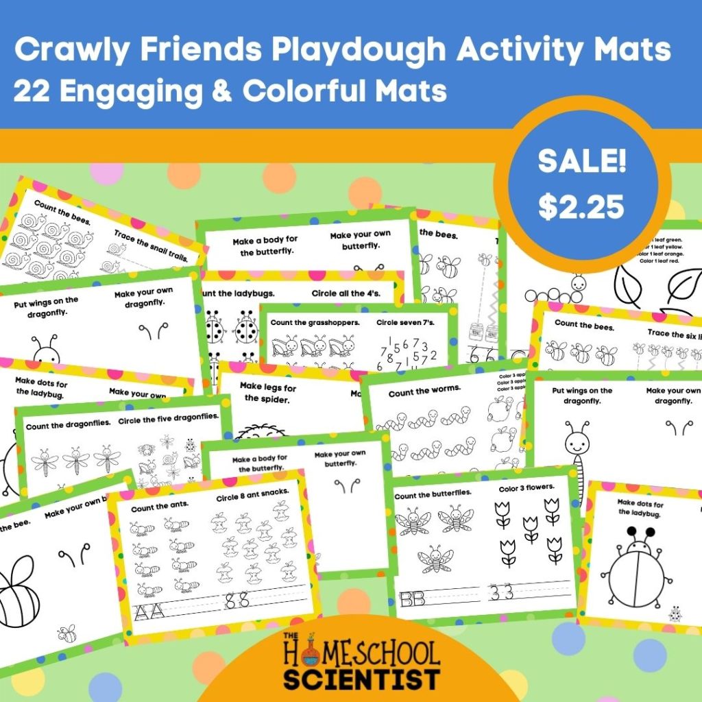 Crawly Friends Playdough Activity Mats(3)