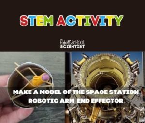 engineering - The Homeschool Scientist