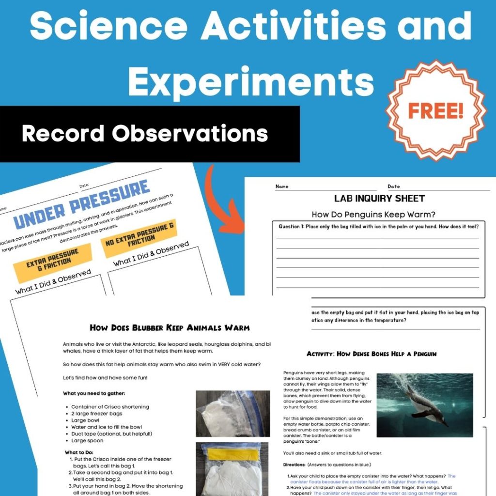 teaching about penguins and glaciers with science activities