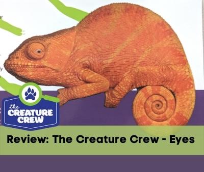 The Creature Crew Science Kits: Animal Eyes