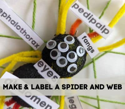 make a spider craft