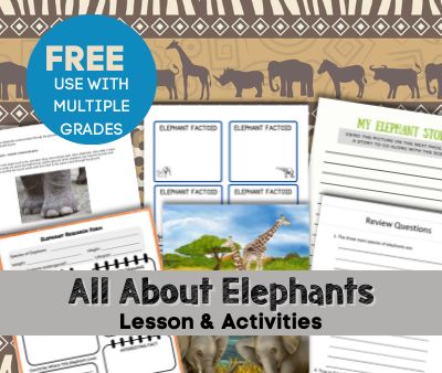 Elephant facts lesson with printable