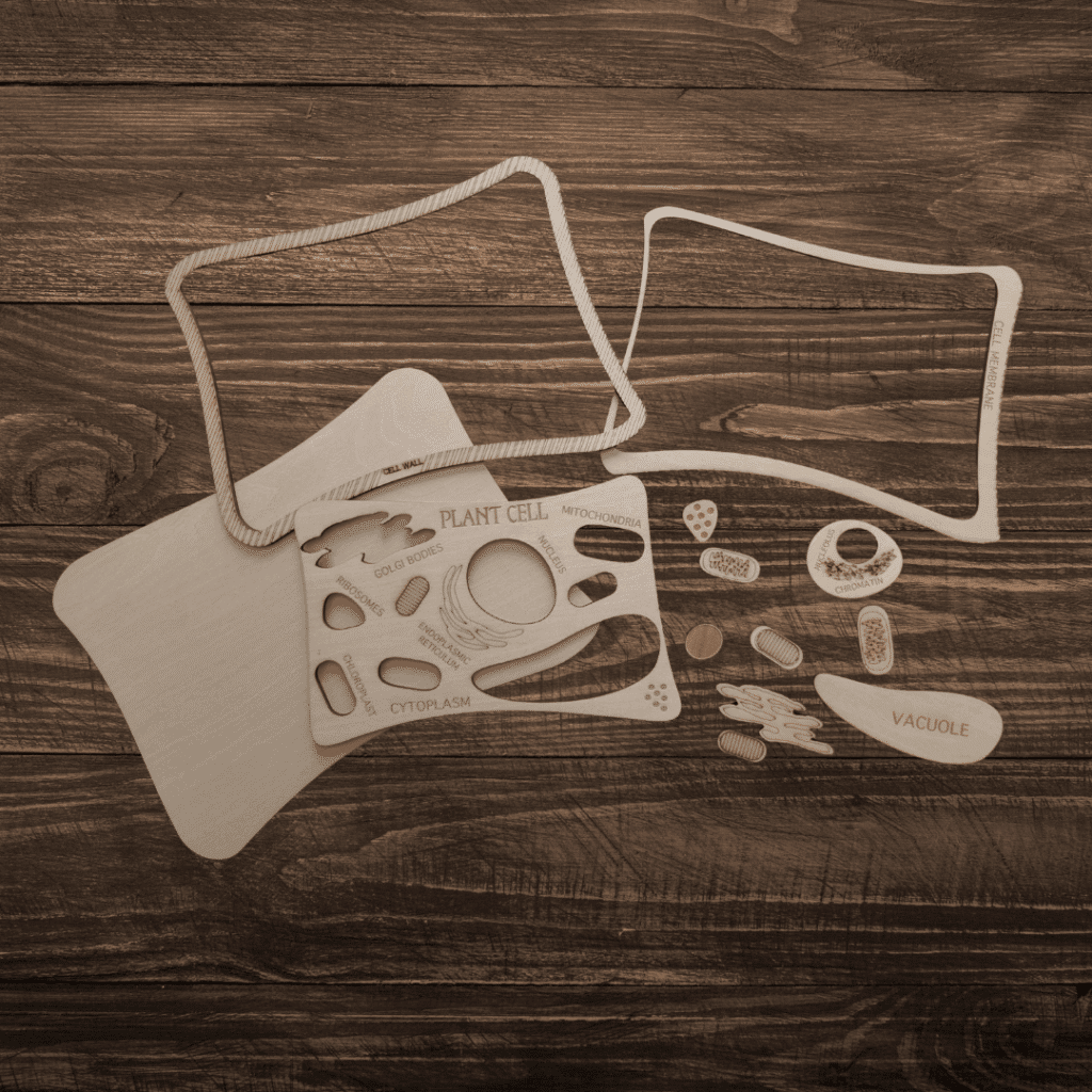 plant cell puzzle shopify image 1