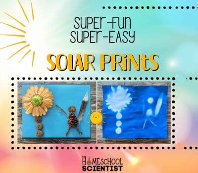 Solar Printing Science Activity for Kids