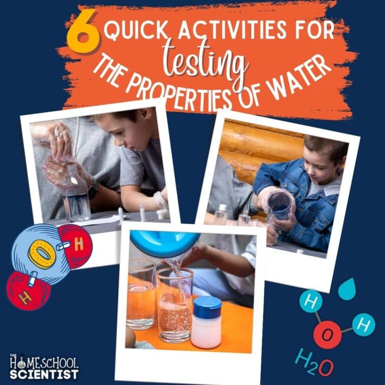 Capillary Action - The Homeschool Scientist