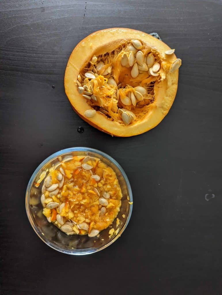 test for vitamin c with iodine  gather the punkin