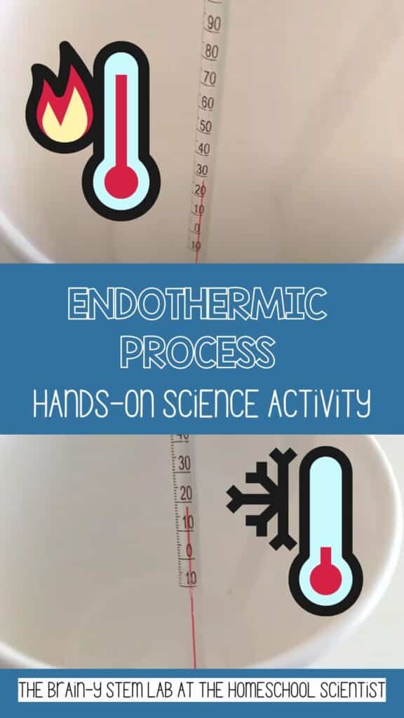 endothermic reaction