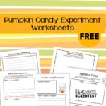 Pumpkin Candy Experiment - The Homeschool Scientist
