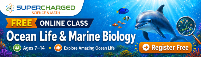 2026 07 09 Marine Biology Class Banner Invite 700 200