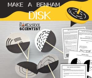 Make a Benham Disk - The Homeschool Scientist