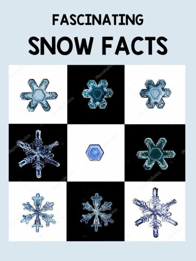 Snow Facts and Snow Science Information