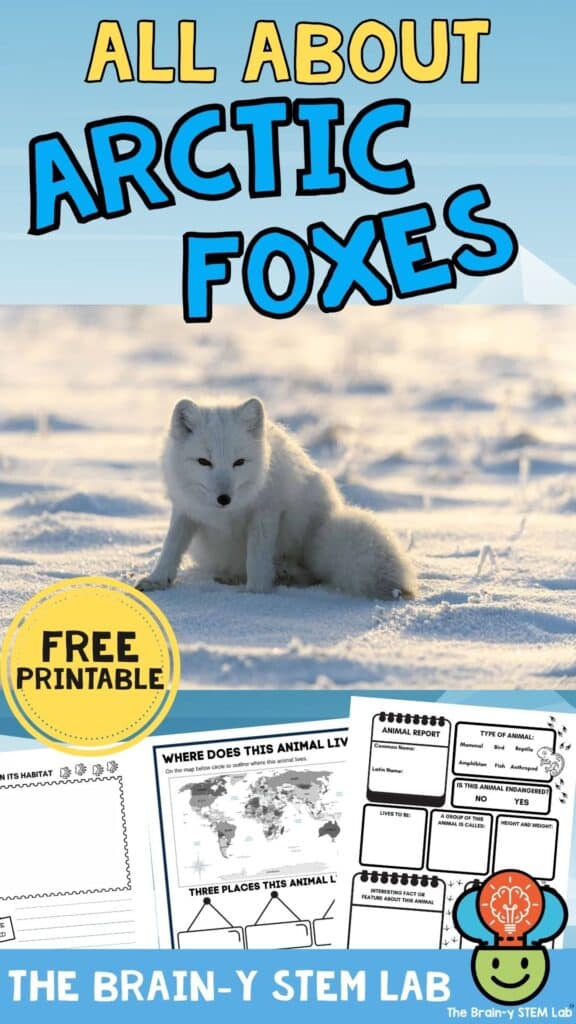 facts about arctic foxes