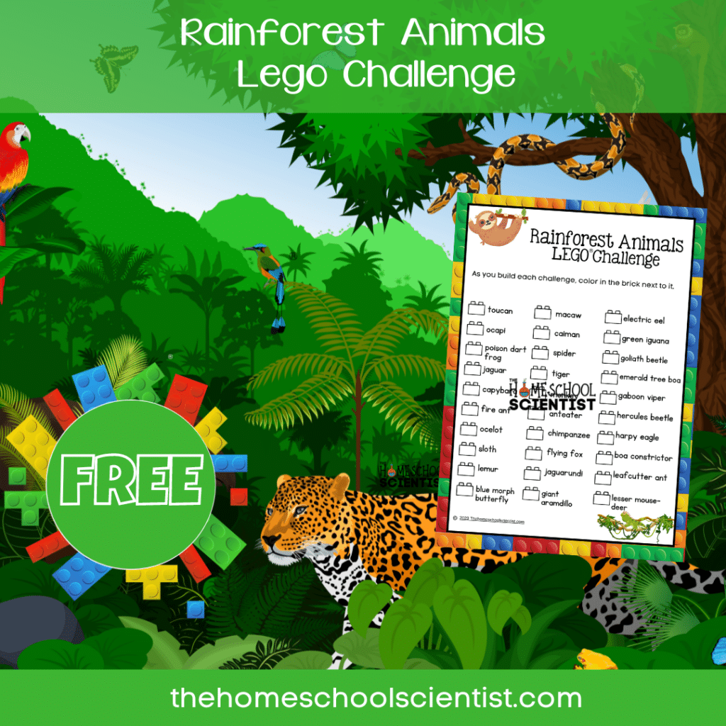 facebook rainforest lego challenge 1080 &times; 1080 px