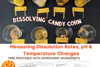candy corn experiment