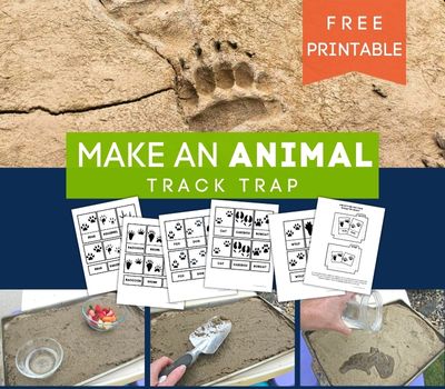 Animal Tracks Printable with Capturing Animal Tracks Activity