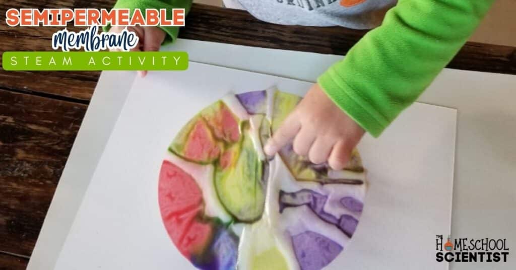 coffee filter painting