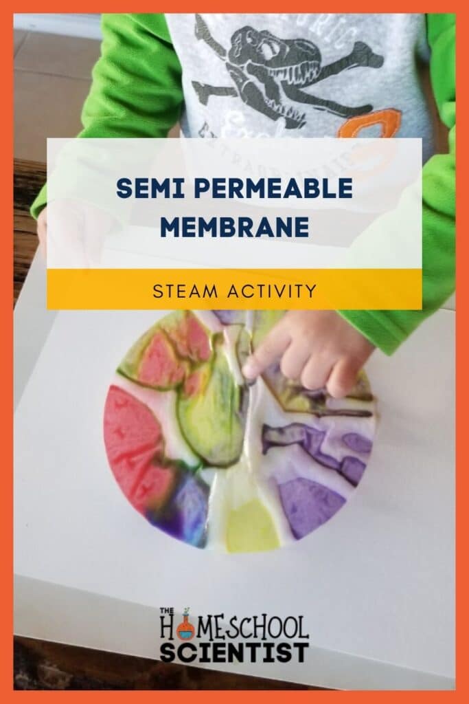 coffee filter painting activity