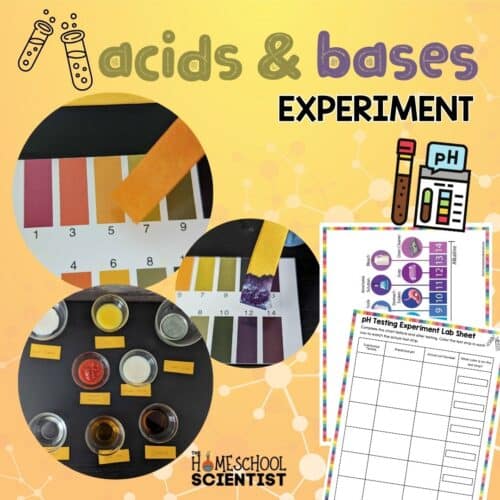 FREE Homeschool Science Printables - The Homeschool Scientist