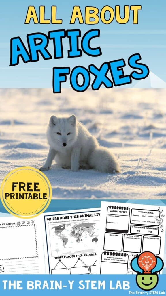 fun facts about arctic foxes