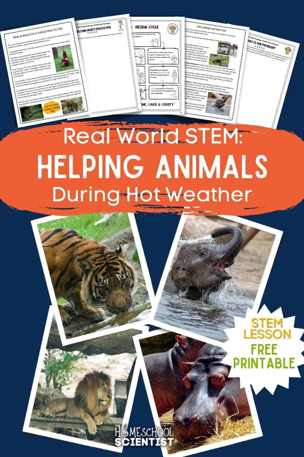 STEM Challenge - Keeping Animals Safe in Hot Weather - The Homeschool ...