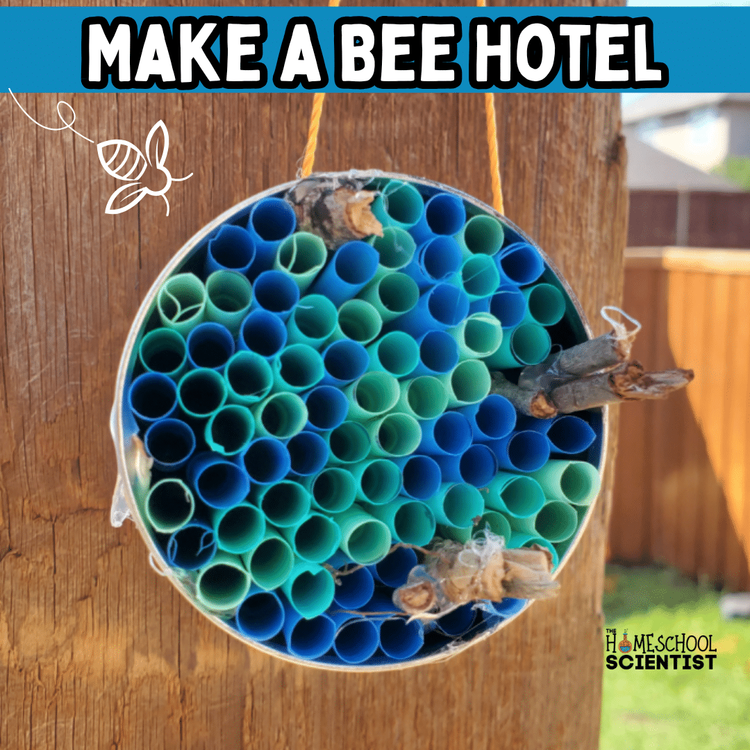 Make a Bee Hotel Activity for Kids - The Homeschool Scientist